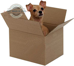 Dog-in-a-box